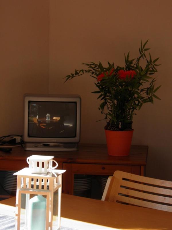Maremmare Tuscany Apartments 프린시피나 아 마레 외부 사진